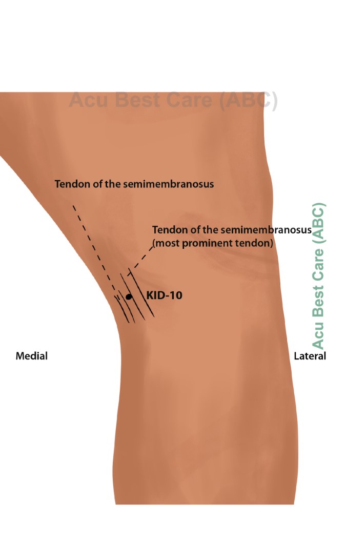 Acubestcare Meridian K-10 or KID-10